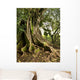 tree Wall Mural