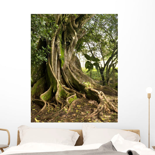 tree Wall Mural