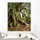 tree Wall Mural