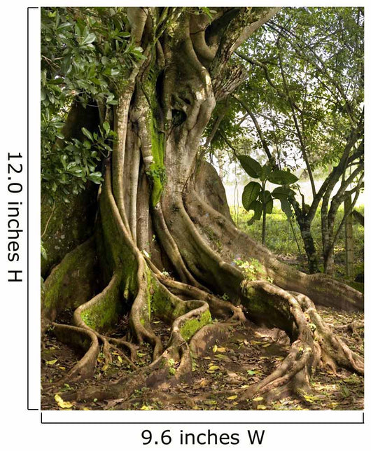 tree Wall Mural