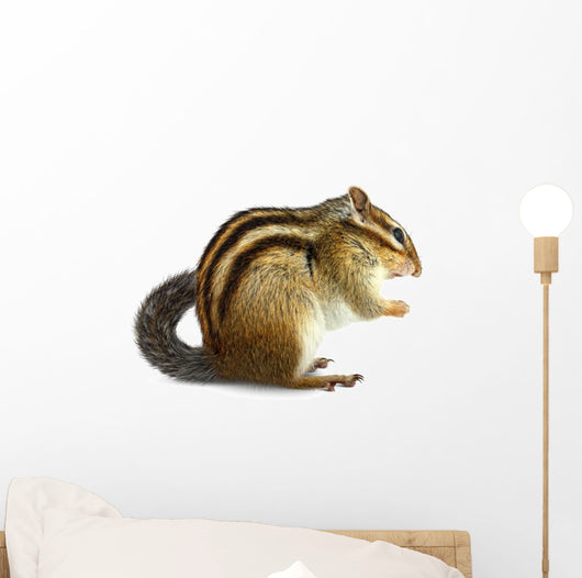 Chipmunk White Wall Decal