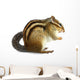 Chipmunk White Wall Decal