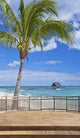 Terrace with Sea Mauritius