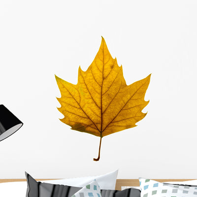 Autumn Leaf Wall Decal shown on a wall