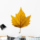 autumn leaf Wall Decal