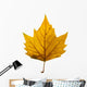 autumn leaf Wall Decal