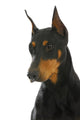 Guard Dog Wall Decal
