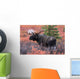 Moose