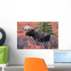 Moose