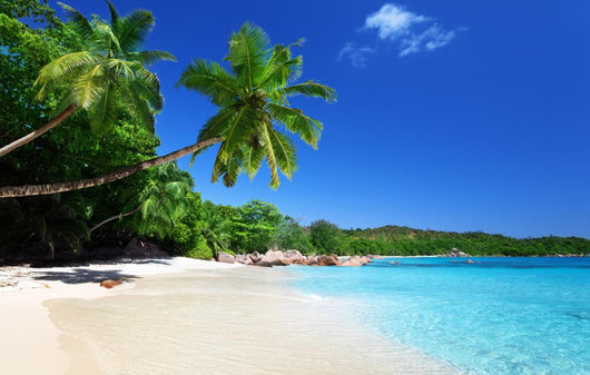Anse Lazio Beach Praslin