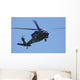 uh-60l black hawk helicopter Wall Mural