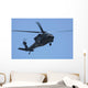 uh-60l black hawk helicopter Wall Mural