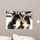 Bernese Mountain Dog Puppets
