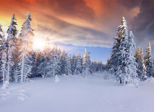Beautiful Winter Sunrise Mountains