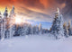 Beautiful Winter Sunrise Mountains