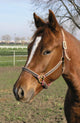 Brown Horse Head Wall Mural