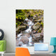 Waterfall Lush Rain Forest Wall Mural