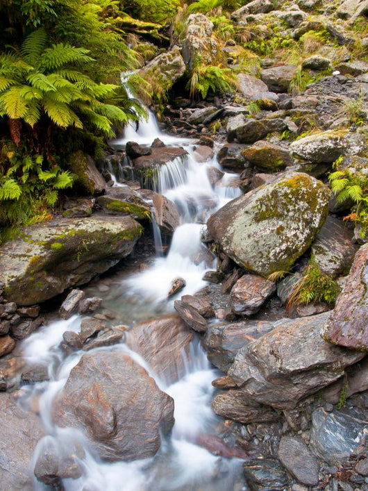 Waterfall Lush Rain Forest Wall Mural