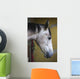 Horse Profile