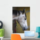 Horse Profile