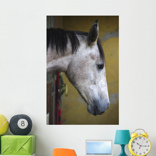 Horse Profile