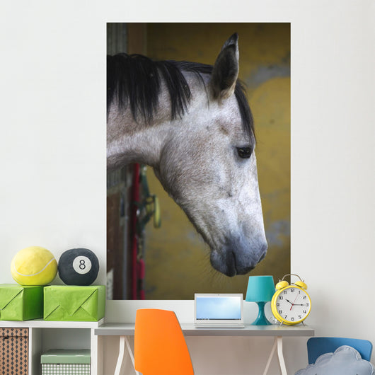 Horse Profile