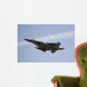 jet fighter Wall Mural