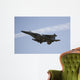 jet fighter Wall Mural