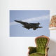 jet fighter Wall Mural