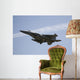 jet fighter Wall Mural