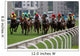 Horse Racing Wall Mural