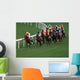 Horse Racing Wall Mural