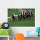 Horse Racing Wall Mural