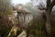 Old abandoned stone mill Wall Mural