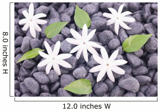 White Jasmine Flowers and Leaves over Zen Stones Background Wall Mural
