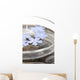 Zen Flower