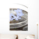 Zen Flower