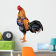 A Cock,native Species of Thailand,has Beautiful Color. Wall Decal