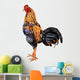 A Cock,native Species of Thailand,has Beautiful Color. Wall Decal