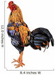A Cock,native Species of Thailand,has Beautiful Color. Wall Decal