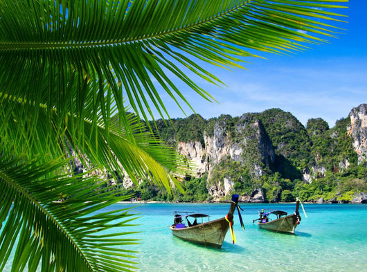 Tropical Sea
