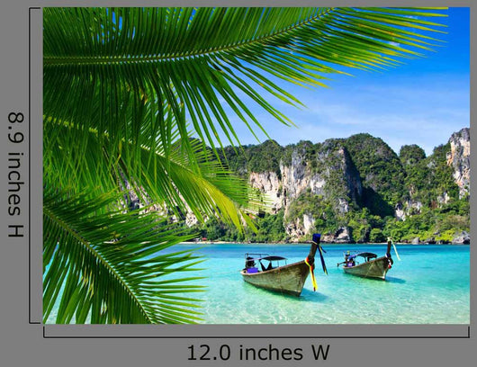 Tropical Sea