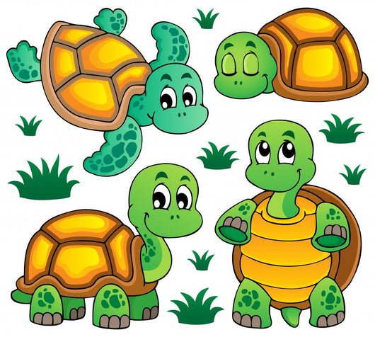 Image with Turtle Theme