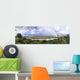 Rainbow on Wood After Rain Wall Mural
