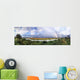 Rainbow on Wood After Rain Wall Mural