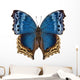 Butterfly Species Salamis Temora Wall Decal