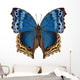 Butterfly Species Salamis Temora Wall Decal