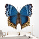 Butterfly Species Salamis Temora Wall Decal