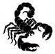 Stylised Scorpion illustration Wall Decal