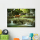 Deer Waterfall
